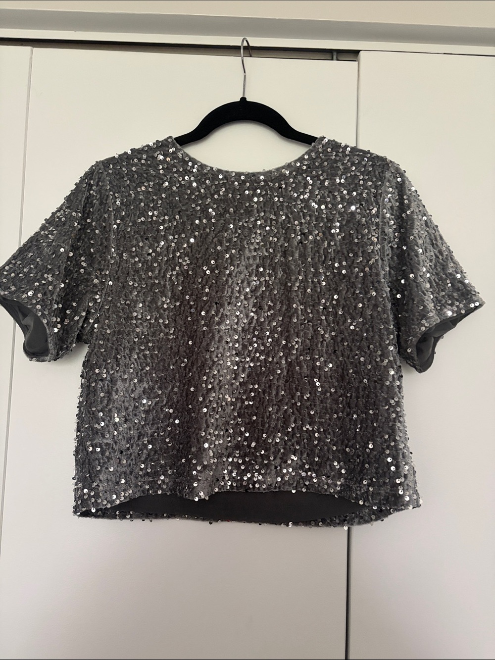 Madewell Silver Sequin Short-Sleeve Crop Top